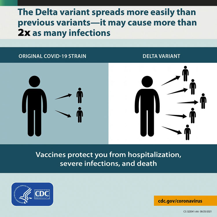 The Delta variant of the COVID-19 virus is more easily spread according to the Centers for Disease Control and Prevention. It may cause two times as many infections. Graphic from CDC