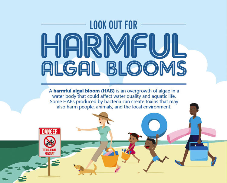 Clark County Public Health officials warn people to be wary of toxic algae blooms that are now occurring in Lacamas Lake and Round Lake. Earlier this summer Vancouver Lake had similar warnings. Graphic courtesy of Clark County Public Health