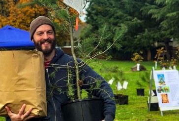 Make a difference, plant a free tree with help from Vancouver Urban Forestry
