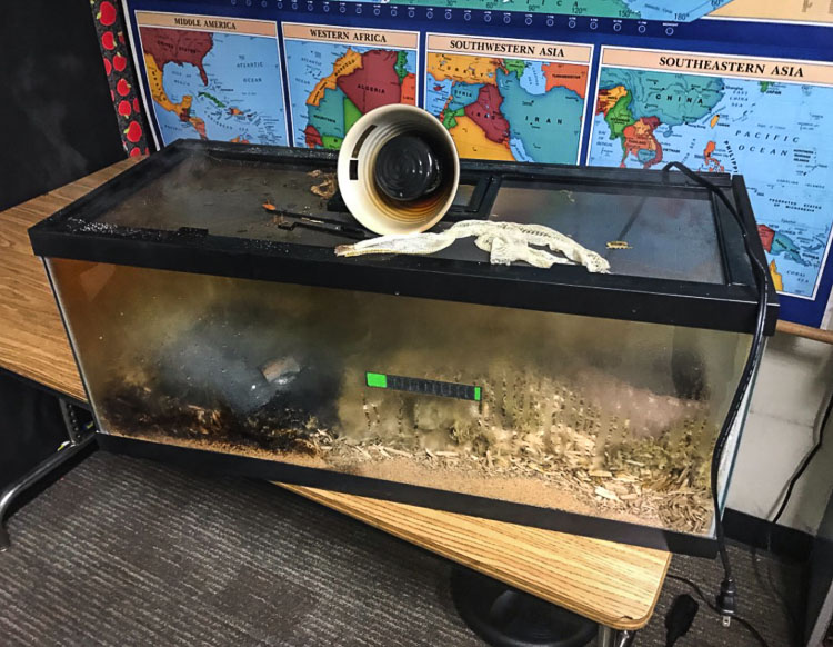 Upon locating a classroom with heavy smoke, the crew discovered a terrarium with smoldering wood chips inside. A heating pad had been placed too close to combustible materials under the terrarium and eventually caught fire. Fortunately, the snake inside the terrarium survived and damage was limited to the terrarium and surrounding materials. Photo courtesy Clark-Cowlitz Fire Rescue