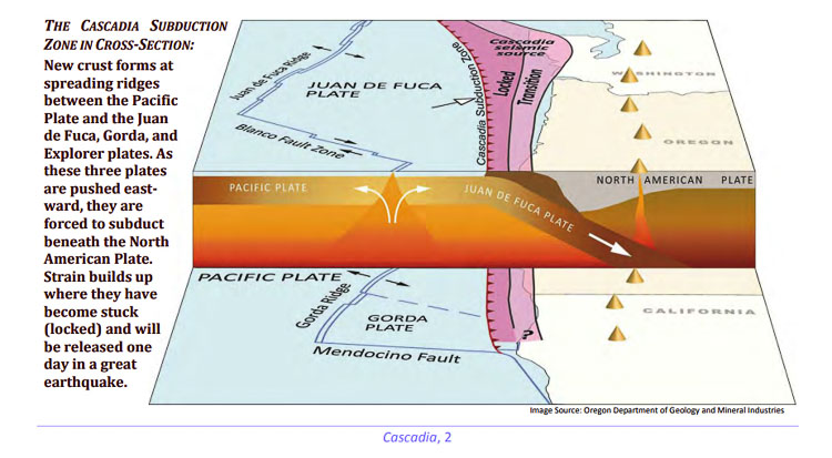 The Pacific plate and the Juan de Fuca plate are moving in opposite directions. The Juan de Fuca plate is sliding under the Pacific Plate, known as “subduction.” The two plates are “locked” pushing against each other. Roughly every 500 to 1,000 years the lock “breaks” triggering an earthquake. Graphic courtesy Oregon Department of Geology and Mineral Industries