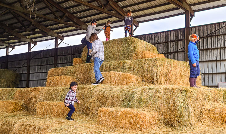 Climb to the top of a hay pyramid, if you wish. Photo by Paul Valencia