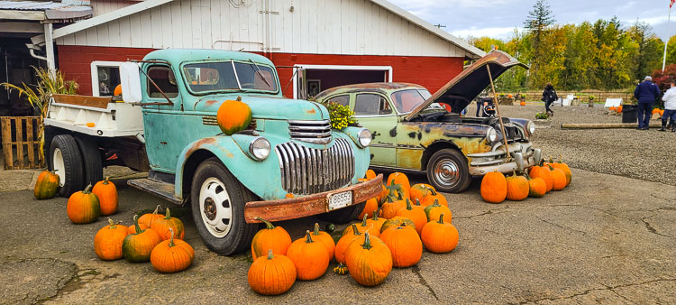 Old vehicles and fresh pumpkins always make for a perfect fall setting. Photo by Paul Valencia