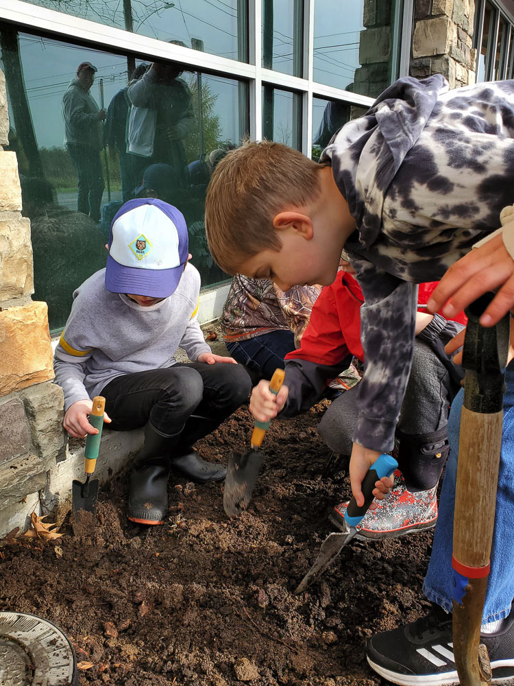 Pack #443 scouts dig holes for tulip bulbs at the Battle Ground Community Center. Photo courtesy city of Battle Ground