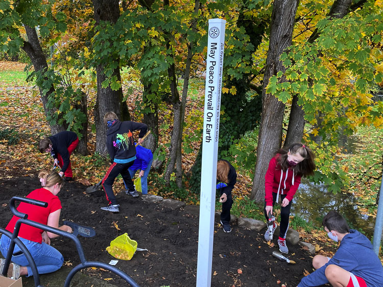 DREAM Team students from Chief Umtuch Middle School work together to plant red tulip bulbs at Central Park. Photo courtesy city of Battle Ground