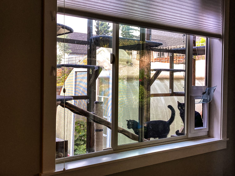 The adoption of Sofi and Sable from Furry Friends prompted Nanis Gilmore and Philip Parshley to build their own, scaled down version of a kitty “catio.’’ Photo courtesy Furry Friends