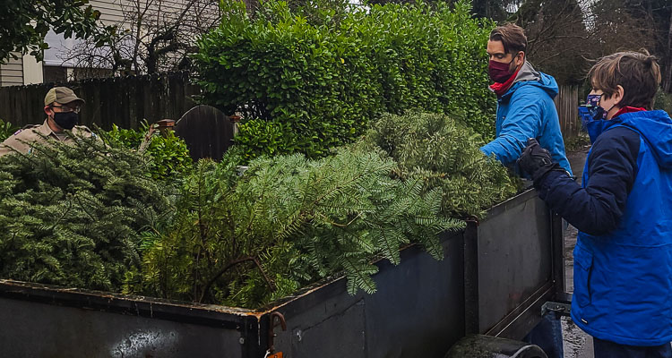 This file photo shows area residents representing the Boy Scouts of America collecting Christmas trees for recycling. Photo by Paul Valencia