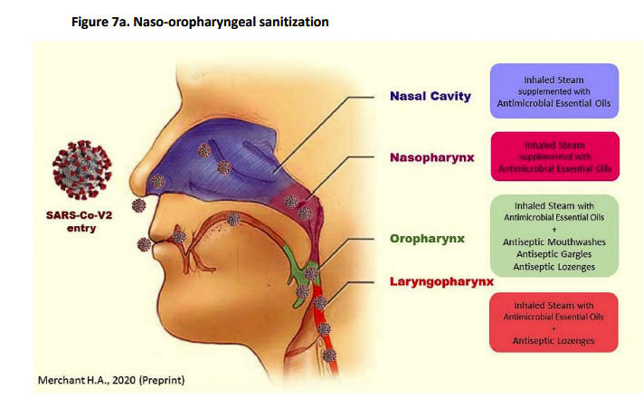 Most flu and viral sickness enter the body through your air passageways. The FLCCC Alliance recommends not only masks to reduce the chances of COVID-19 and other viral particles entering your body, but also gargling twice daily to cleanse your mouth. Other professionals suggest nasal irrigation if you have a cold or believe you might be infected. Graphic courtesy FLCCC Alliance