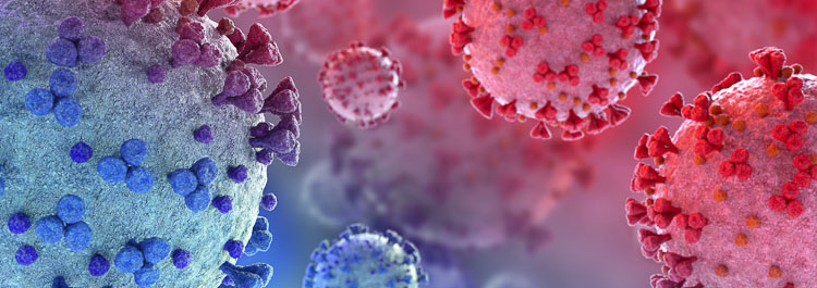 Do you think the pandemic will end in 2022?