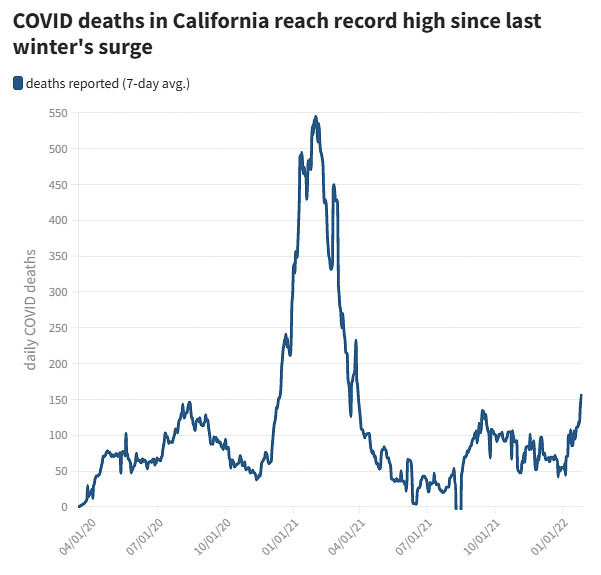 Reported COVID-19 deaths in California have begun to rise rather quickly during the Omicron wave of the pandemic, yet remain far below peak levels reached a year ago. Graphic courtesy San Jose Mercury News