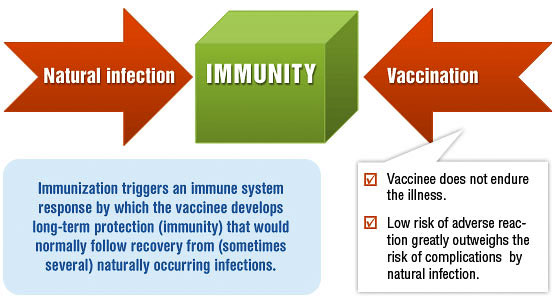 The World Health Organization reported natural immunity following recovery from COVID-19 sickness is more robust and longer lasting than vaccine immunity. The WHO study showed cellular immunity elicited by natural infection also targets other viral proteins, which last across multiple variants rather than targeting just the spike protein. Graphic courtesy of World Health Organization