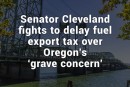Senator Cleveland fights to delay fuel export tax over Oregon’s ‘grave concern’
