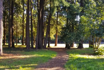 City of Vancouver invites residents to planning open house for Raymond E. Shaffer Community Park