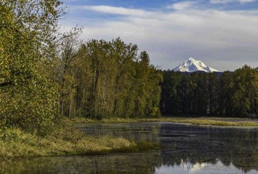 Steigerwald Lake National Wildlife Refuge to reopen May 1