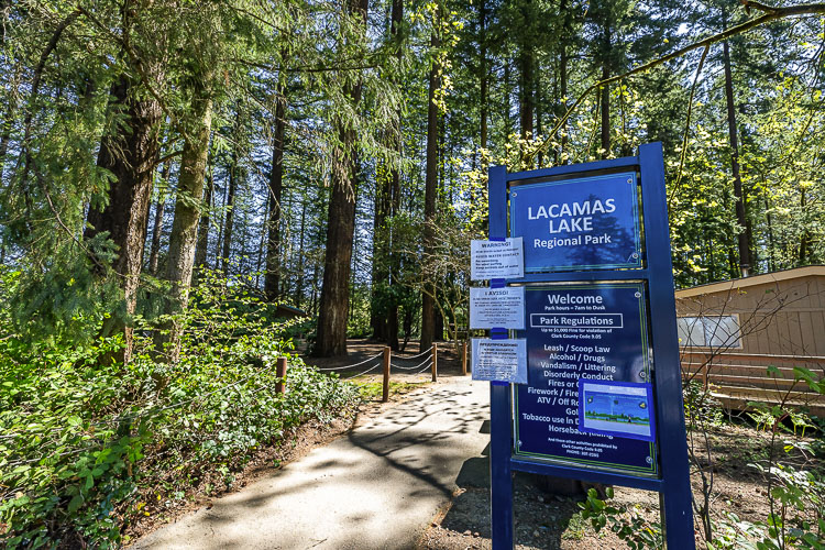 The Parks and Lands division of Clark County Public Works will be working with a tree service contractor to remove several hazardous trees along the Lacamas Heritage Trail.