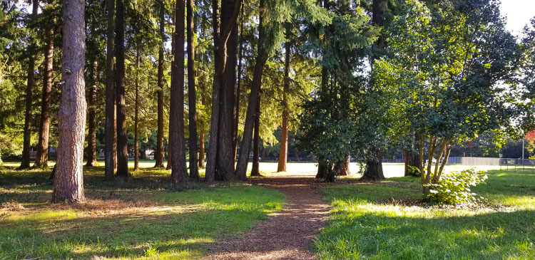 Raymond E. Shaffer Park is a 17-acre undeveloped community park in north-central Vancouver.