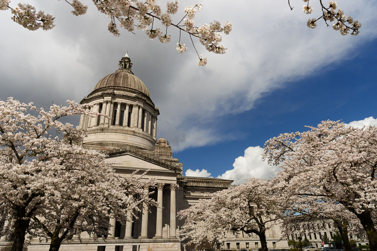 Chris Cargill of the Washington Policy Center assesses the recently completed 2022 legislative session.