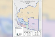County Council to reconsider previously rejected redistricting map B2