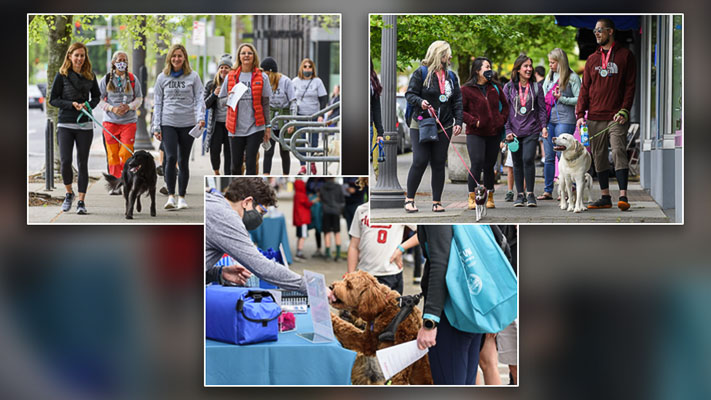 The Humane Society for Southwest Washington (HSSW) is celebrating the 31st anniversary of their popular spring event, Walk/Run for the Animals on Sat., May 7.