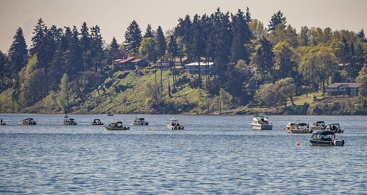 As the number of upriver spring Chinook continues to exceed expectations, fishery managers from Washington and Oregon on Wednesday agreed to allow 11 more days on the lower Columbia River for recreational spring Chinook fishing beginning Tue., May 24, in addition to two days upstream of Bonneville Dam.