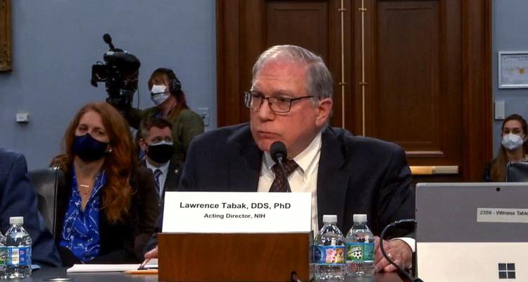 The NIH "eliminated from public view" the crucial virus data from the lab in Wuhan, China, acting director Lawrence Tabak told a House Appropriations subcommittee Wednesday.