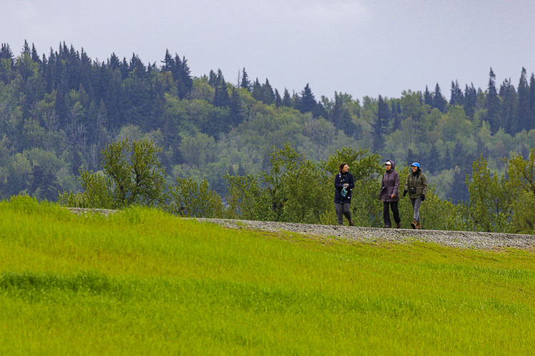 Another look at hikers along the new trail at Steigerwald Lake National Wildlife Refuge. Photo by Mike Schultz