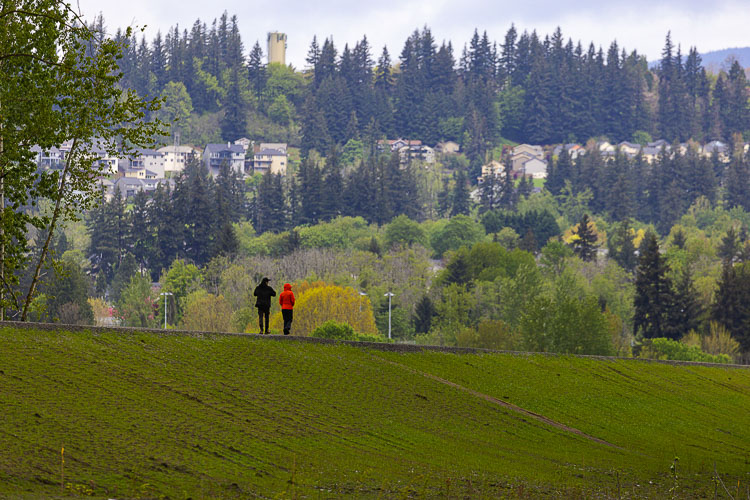 Here’s a look at hikers on the trail at Steigerwald Lake National Wildlife Refuge, with Washougal homes in the background. Photo by Mike Schultz
