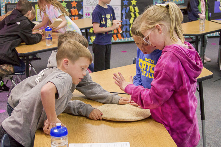 Students examined real whale bones including ribs and vertebrae. Photo courtesy Woodland School District