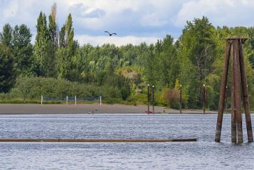 Public Health downgrades Vancouver Lake advisory and removes Battle Ground Lake advisory for E. coli