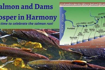 Opinion: Salmon and dams prosper in harmony