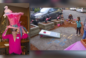Flamingo fever at the next First Friday in downtown Camas