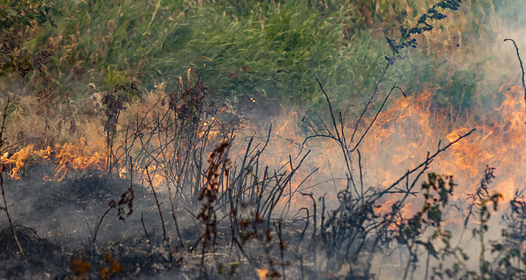 Starting at 12:01 a.m. Friday (July 15), all land clearing and residential burning in Clark County will be restricted until further notice.