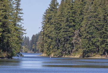 Public Health issues warning for Lacamas Lake due to elevated toxin levels