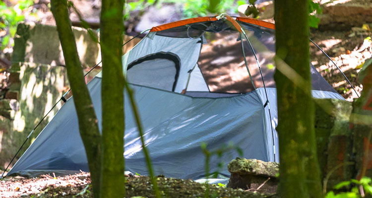 On Monday, members of the Vancouver City Council unanimously approved an ordinance amending Vancouver’s Municipal Code pertaining to camping to reduce the danger of wildland fire in Vancouver.