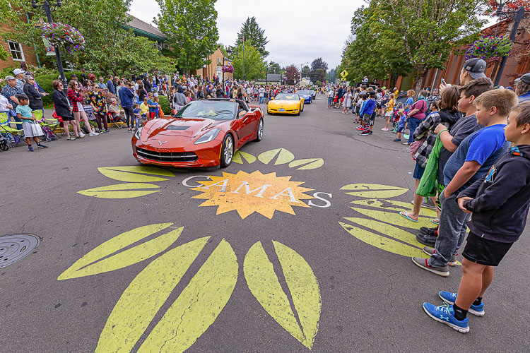 The Corvette Club offered the car enthusiasts some eye candy during the Camas Days Parade. Photo by Mike Schultz