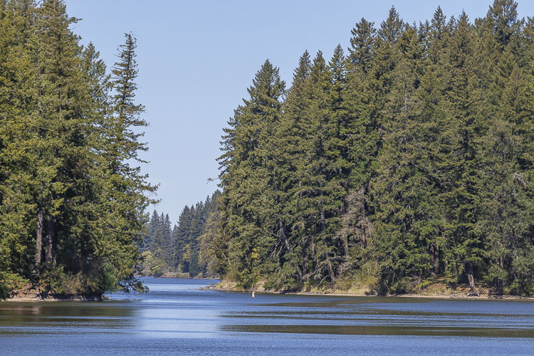 Results from water samples taken from Lacamas Lake on Monday revealed cyanotoxins above the threshold levels recommended by the Washington Department of Health.
