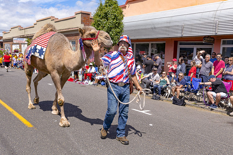 Curly The Camel, shown here with Owner Jeff Siebert, is a Clark County legend. Photo by Mike Schultz