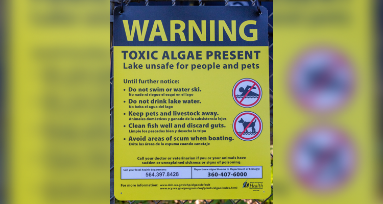 Clark County Public Health has issued a warning advisory at Lacamas Lake due to elevated levels of cyanotoxins from harmful algae.