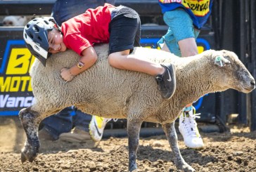 Clark County Fair: Here’s the Aug. 9 schedule