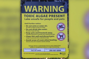 Public Health issues danger advisory at Round Lake in Camas due to elevated toxin levels