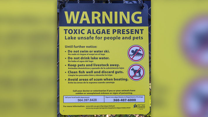 Public Health is advising against all recreation in Round Lake, including swimming, kayaking, paddle boarding, canoeing, using motorized boats, water skiing and fishing