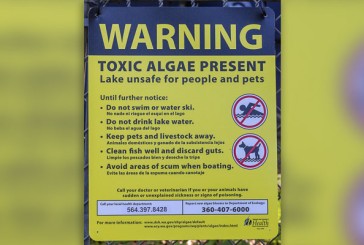 Public Health issues warning for Round Lake due to elevated toxin levels