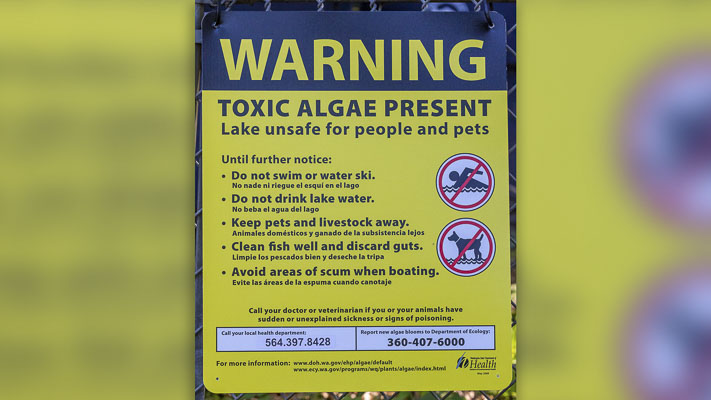 Clark County Public Health, warning issued, Round Lake, Lacamas Lake, elevated toxin levels, cyanotoxins, harmful algae, water samples, Washington Department of Health, public access points, Camas, Clark County
