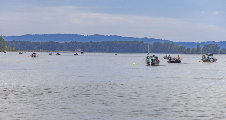 State fishery managers from Washington and Oregon announced Thursday that a section of the lower Columbia River will open for three days of sturgeon retention in September.