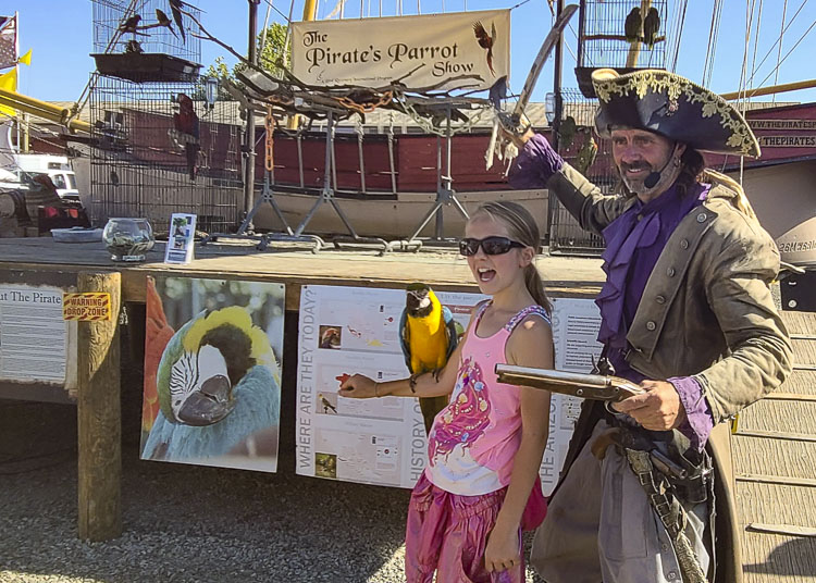 Chris Biro, a professional pirate, encourages folks to take photos with his parrots. Here, Chloe Schultz of Yacolt holds a photogenic parrot. Photo by Paul Valencia