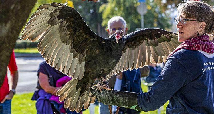 The Friends of Ridgefield National Wildlife Refuge is hosting the BirdFest & Bluegrass Festival on Oct. 1 in Ridgefield. File photo