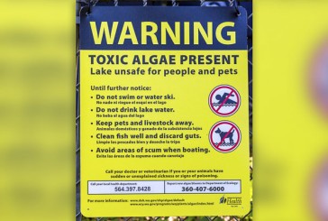 Public Health issues danger advisory at Lacamas Lake due to elevated toxin levels