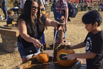 Bi-Zi Farms offers family fun at pumpkin patch and harvest festival