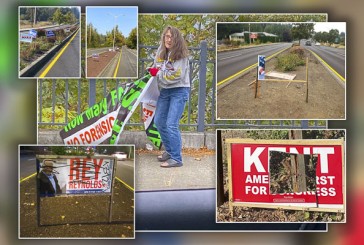County-wide candidate sign theft and vandalism leaves Clark County Republican Party asking for help