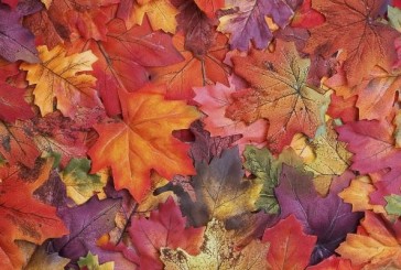 County Public Works reminds residents to properly dispose of leaves to prevent street flooding